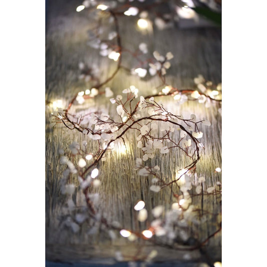 Gemstone White LED String Lights Mains Powered 2 Metres in Length by Lightstyle London