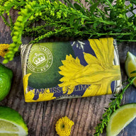 Royal Botanic Gardens Kew Narsissus Lime Soap Bar by The English Soap Company
