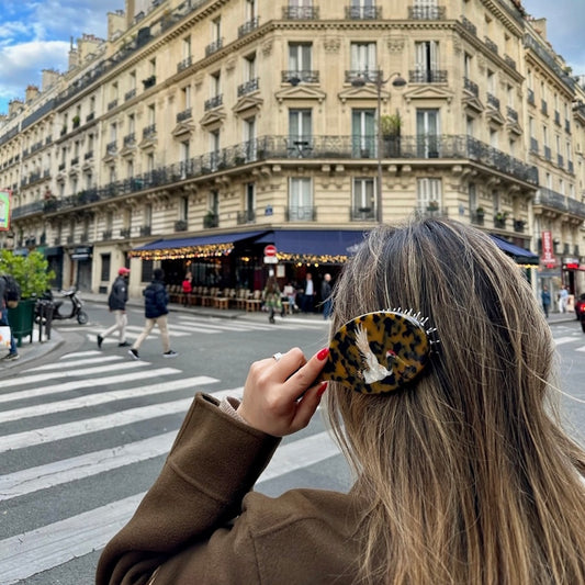 Solar Eclipse Hand-Painted Crane Acetate Handbag Hero Hair Brush