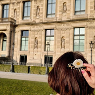 Solar Eclipse Hand-Painted Daisy Pocket Hair Comb
