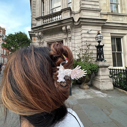 Solar Eclipse Hand Painted Crane Bird Claw Hair Clip